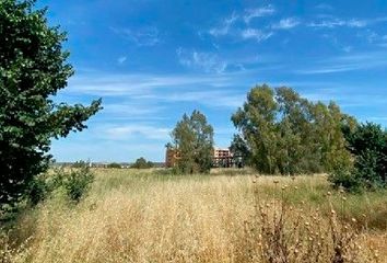 Terreno en  Jerez De La Frontera, Cádiz Provincia