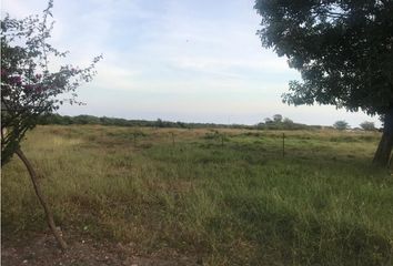 Lote de Terreno en  Altos De Los Robles, Soledad