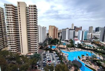 Piso en  Benidorm, Alicante Provincia