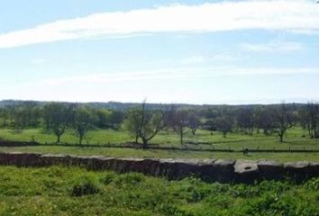 Terreno en  Garguera, Cáceres Provincia