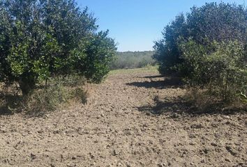 Lote de Terreno en  Ciudad Ciudad Allende, Allende, Nuevo León