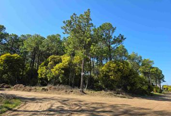 Terrenos en  Otro, Pinamar