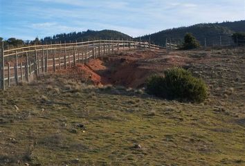 Parcela en  Marchihue, Cardenal Caro