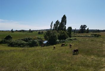 Parcela en  Chillán Viejo, Ñuble (región)