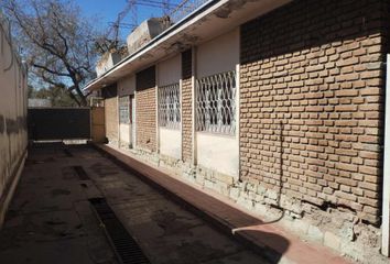 Galpónes/Bodegas en  Maipú, Mendoza