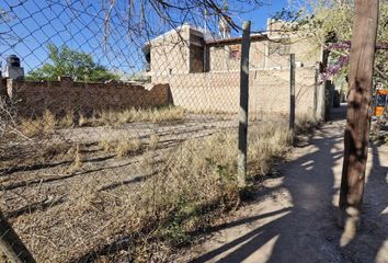 Terrenos en  Las Cañas, Mendoza