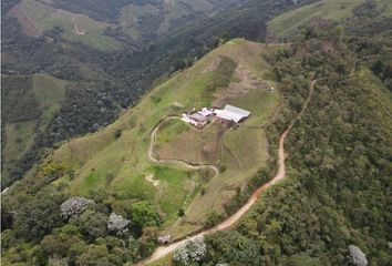 Villa-Quinta en  Salento, Quindío