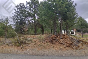 Terrenos en  Otro, San Carlos De Bariloche