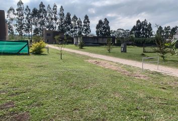 Terrenos en  Los Nogales, Tucumán