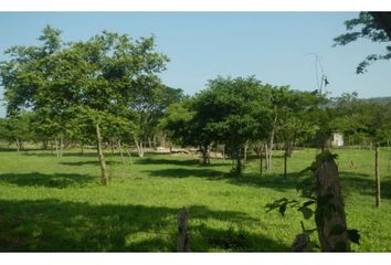 Lote de Terreno en  Centro, Santa Marta