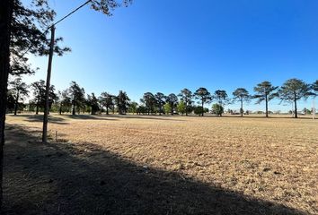 Terrenos en  Recreo, Santa Fe