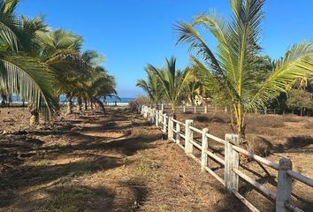 Lote de Terreno en  40802, La Ciénega, Guerrero, Mex