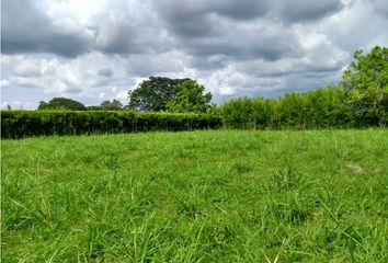 Lote de Terreno en  La Tebaida, Quindío