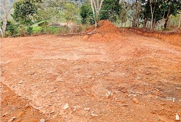 Lote de Terreno en  San Carlos, Antioquía