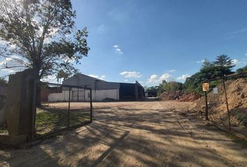 Galpónes/Bodegas en  Lobos, Partido De Lobos