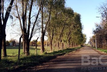 Terrenos en  Ricardone, Santa Fe