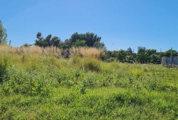 Terrenos en  General Pico, La Pampa