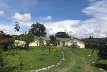 Casa en  Pitalito, Huila