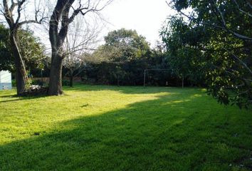 Terrenos en  Manuel B Gonnet, Partido De La Plata