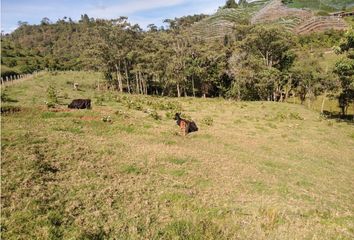 Lote de Terreno en  El Retiro, Antioquia