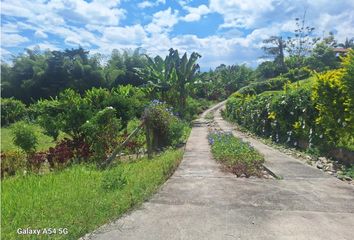 Lote de Terreno en  La Tebaida, Quindío