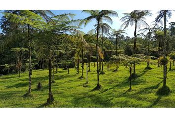 Lote de Terreno en  Cerritos, Pereira