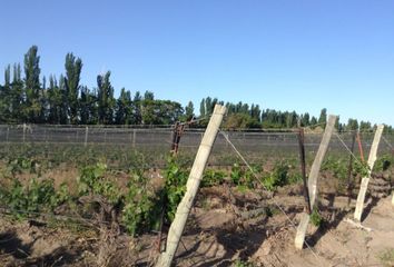 Terrenos en  San Rafael, Mendoza