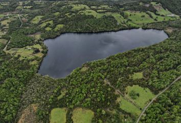 Parcela en  Queilén, Chiloé