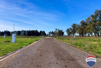 Terrenos en  Carlos Spegazzini, Partido De Ezeiza