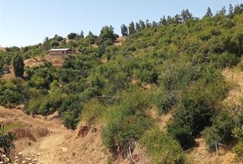 Parcela en  Peralillo, Colchagua