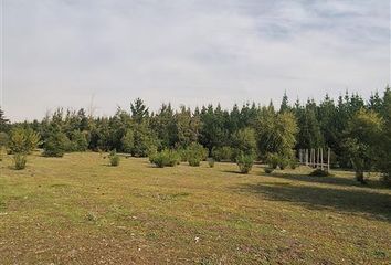 Parcela en  Los Ángeles, Bío-bío