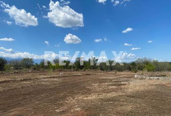 Lote de Terreno en  Montemorelos Centro, Montemorelos