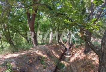 Lote de Terreno en  Carmen, Nuevo León