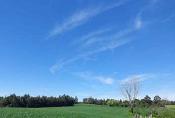 Parcela en  Pinto, Ñuble (región)