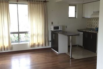 Departamento en  Providencia, Provincia De Santiago