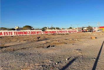 Lote de Terreno en  Ciudad Juárez Centro, Juárez, Chihuahua