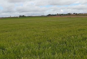 Terreno en  Miguelturra, Ciudad Real Provincia