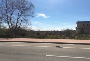 Terreno en  Deltebre, Tarragona Provincia