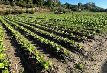 Terreno en  Arcos De La Frontera, Cádiz Provincia