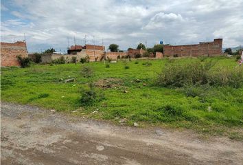 Lote de Terreno en  Rancho El Zapote, Tlajomulco De Zúñiga