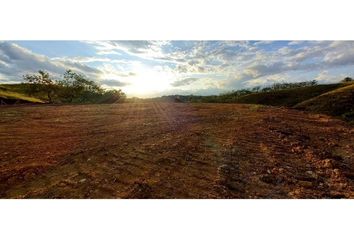 Lote de Terreno en  Cerritos, Pereira