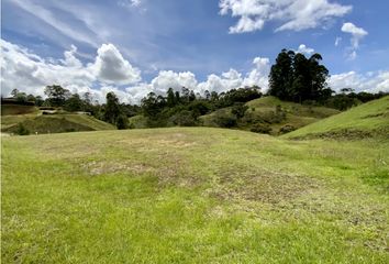 Lote de Terreno en  El Carmen De Viboral, Antioquia