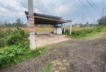 Lote de Terreno en  Carretera Toluca-valle De Bravo, Valle De Bravo, México, 51209, Mex