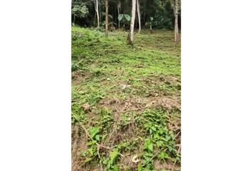 Lote de Terreno en  Marulanda, Caldas