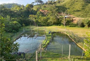 Villa-Quinta en  San Luis, Antioquia