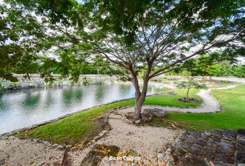 Lote de Terreno en  97334, San Ignacio, Yucatán, Mex