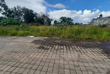 Lote de Terreno en  Torreón Nuevo, Morelia, Michoacán