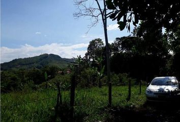 Lote de Terreno en  Risaralda, Caldas