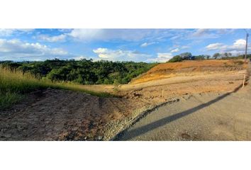 Lote de Terreno en  Cerritos, Pereira