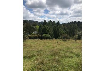 Lote de Terreno en  Las Palmas, Medellín